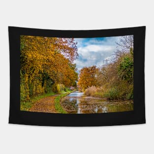 Autumn colours on the canal Tapestry