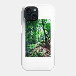 Sunlight And The Trail Phone Case