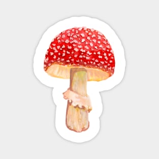 Mushroom Master Fly Agaric Magnet