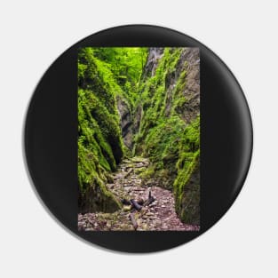 A beautiful view of a narrow wild canyon Pin