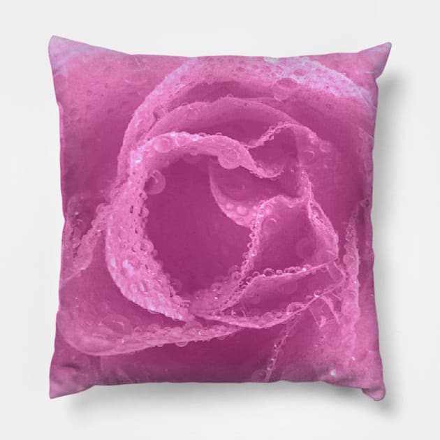 Pink Rose Pillow by Dale Preston Design