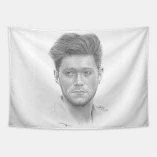 Niall Horan Tapestries for Sale TeePublic