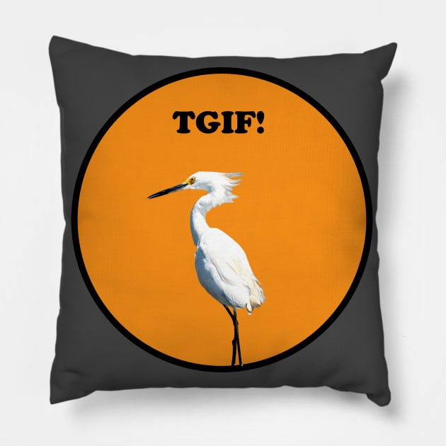 Ruffled feathers Pillow by Suncatcher Photos - Apparel - Home Decor