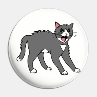 Scared Cat Pin