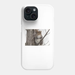 Grey squirrel in a tree Phone Case