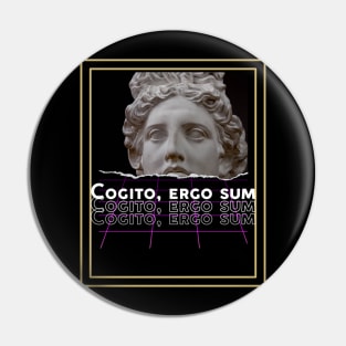 cogito, ergo sum urban style, aesthetic art. Pin