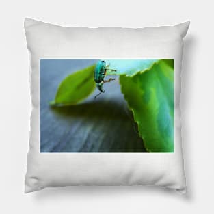 Curious Insect Pillow