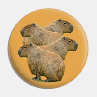 Capybara Stack Pin