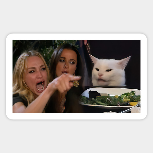 Woman Yelling At A Cat Meme Aufkleber Teepublic De