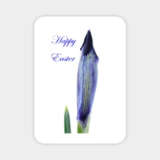 Iris histrioides  &#39;Halkis&#39;  Reticulata  with Happy Easter Message Magnet