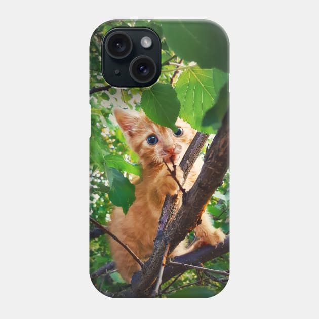 kitten in the tree Phone Case by psychoshadow