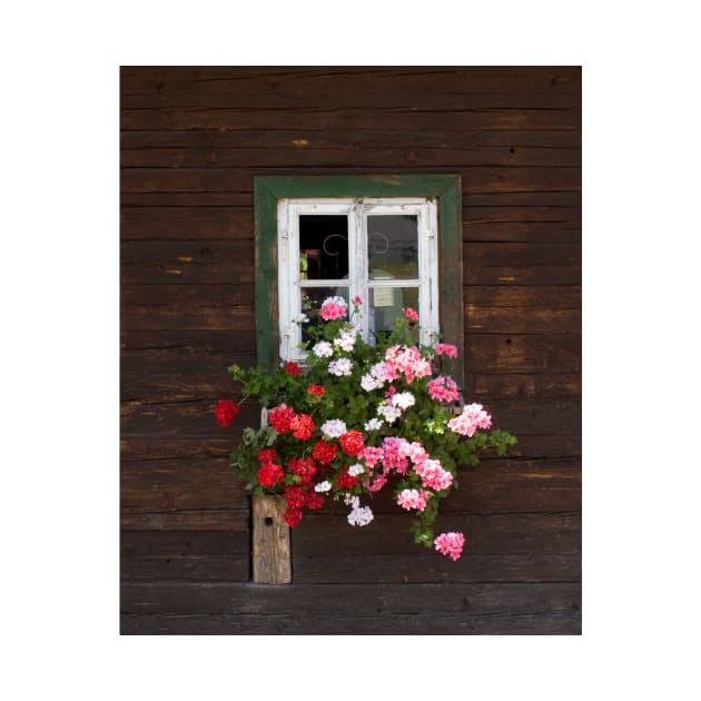 Farmhouse Window by ephotocard