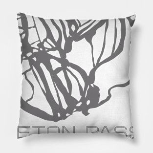 Teton Pass Resort 3D Pillow