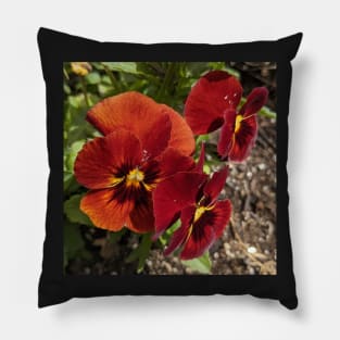 Yellow, Orange, and Red Mailbox Flowers 3 Pillow