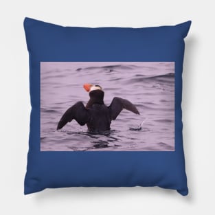 Puffin Pillow