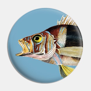 Musical Fish in G Flat Pin