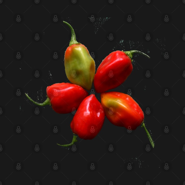 Five habanero peppers by Made the Cut