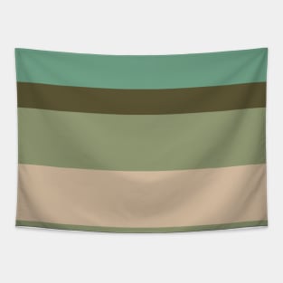 A gorgeous melt of Soldier Green, Dark Vanilla, Grey/Green, Oxley and Gunmetal stripes. Tapestry