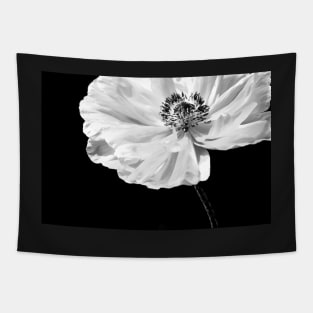 Poppy Tapestry