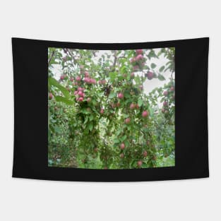 Apple orchard Tapestry