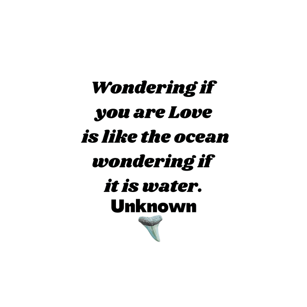 You are Love Quote Shark Teeth by AtlanticFossils