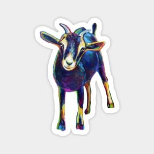 Cute BLACK GOAT Sticker by Robert Phelps Magnet