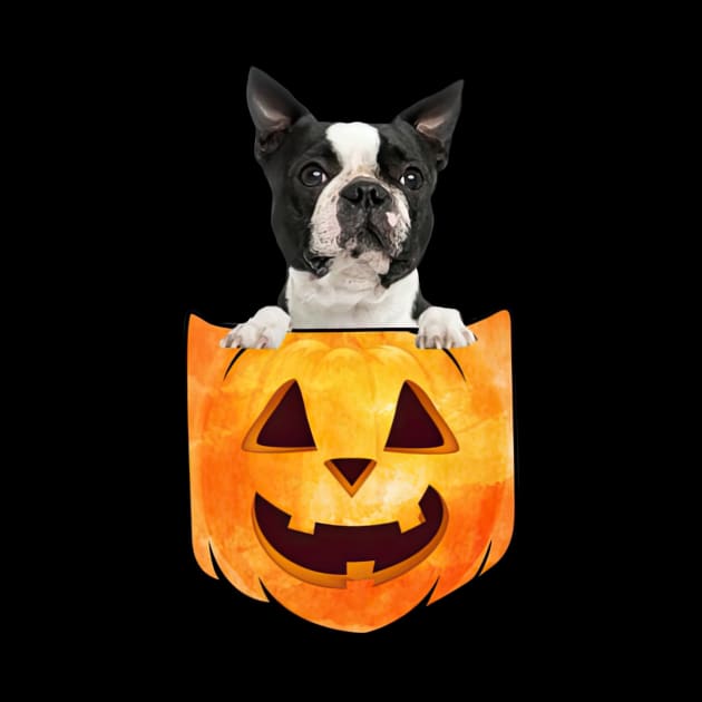 Black Boston Terrier Dog In Pumpkin Pocket Halloween by nakaahikithuy