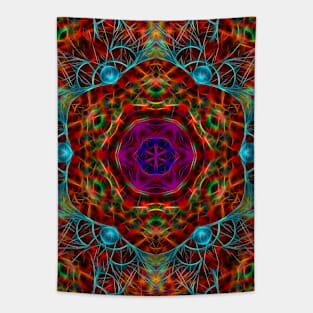 Magical vibrant web Tapestry