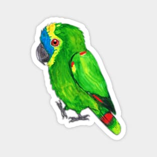 Turquoise-fronted amazon watercolor painting Magnet