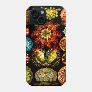 Ascidiacea - Sea Life Phone Case