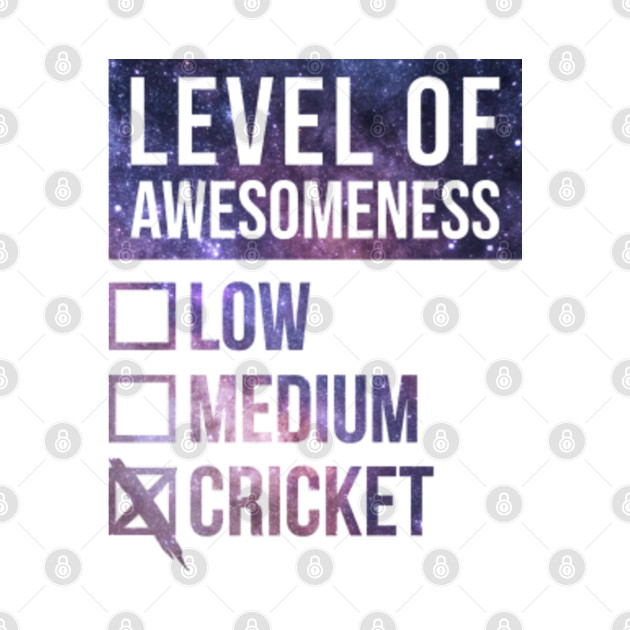 Funny Level Of Awesomeness Low Cricket Cricketer Quote For A Birthday Or Christmas - Sport - Phone Case