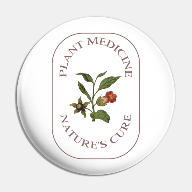 Plant Medicine, Nature's Cure - herbalism Pin by Kamran Sharjeel
