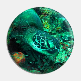 Green sea turtle Pin