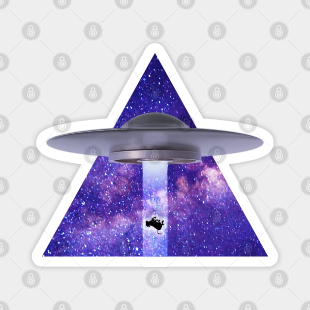 UFO Abduction Magnet by Weird Science Pod