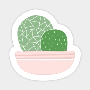 Succulent illustrationtion Magnet