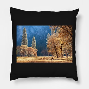 Cook Meadow Fall Pillow