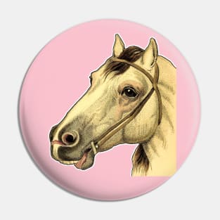 Horse head Pin