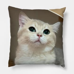 the little cute cats Pillow