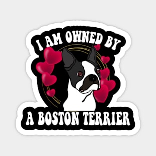 I am owned by a Boston Terrier Magnet