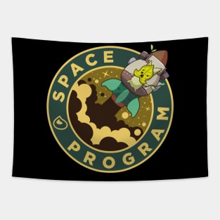 the space program Tapestry