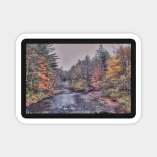 Crooked River Autumn Magnet