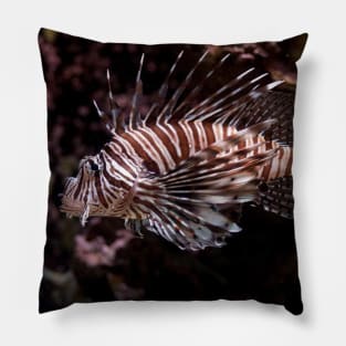 Lionfish Pillow