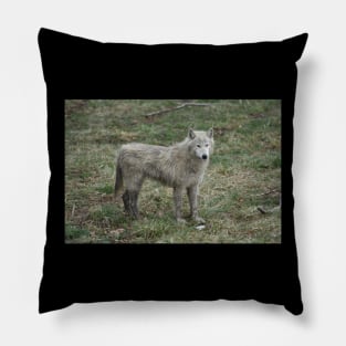 White Wolf Pillow