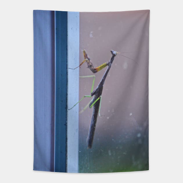 Mantis on a Window - Remix Tapestry by tessiaphoto