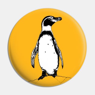 African penguin Pin