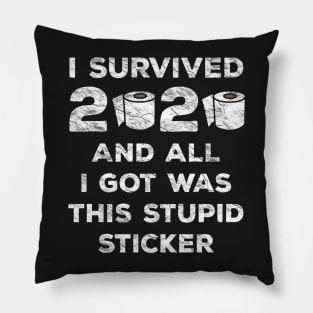 I Survived 2020 And All I Got Was This Stupid Sticker Pillow