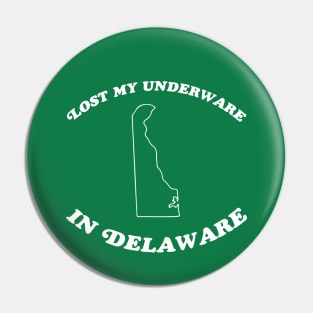 Delaware Pin