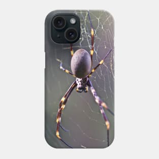 Australian Orb Weaver Spider Phone Case