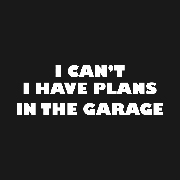I can't i have plans in the garage by Sabahmd