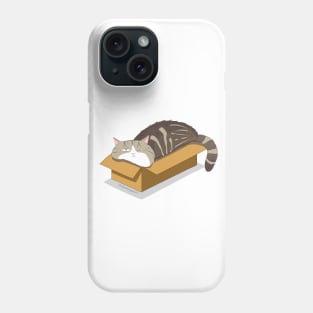 Cat relaxed in box Phone Case